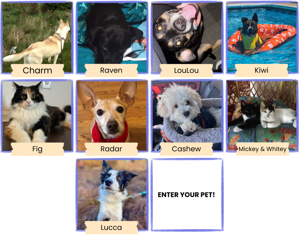 2026 Pause for a Cause Pets 7
